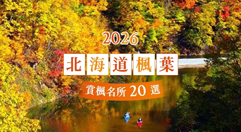 （專欄文）北海道楓葉